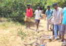 கிளிநொச்சி இரணைமடு குளத்திற்கு அருகில் சைக்கிளில் சென்றவரை துரத்தித் துரத்தி தாக்கிய யானை!