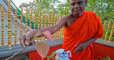 அநுராதபுரத்தில் சிறுமியை சிதைத்த பிக்குவின் விந்தின் DNA யை உறுதிப்படுத்த இரத்த பரிசோதனை!!