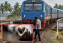 தாங்க முடியாத அந்த வலி! யாழில் ரயில் முன் பாய்ந்து பிரபாகரன் பலி!