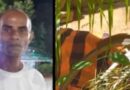 பனை நுங்கு சேகரிப்பதற்காக காட்டுப்பகுதிக்கு சென்று திரும்பியவர் மர்மமான முறையில் மரணம்!!