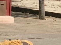 யாழ் வல்லை முனியப்பர் கோவிலடியில் விபத்து! ஐயர் பலி!
