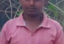 பாம்பின் விஷம் பட்ட நாவல் பழத்தை உண்ட 11 வயது  சிறுவன் பரிதாபகரமாக பலி!