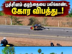 A9 புளியங்குளத்தில் கோர விபத்து! தந்தையும் குழந்தையும் பலி… தாய் படுகாயம்!