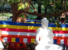கந்தரோடை தொல்லியல் பகுதியில் புதிதாக புத்தர் சிலை: மக்கள் மத்தியில் குழப்பம்!